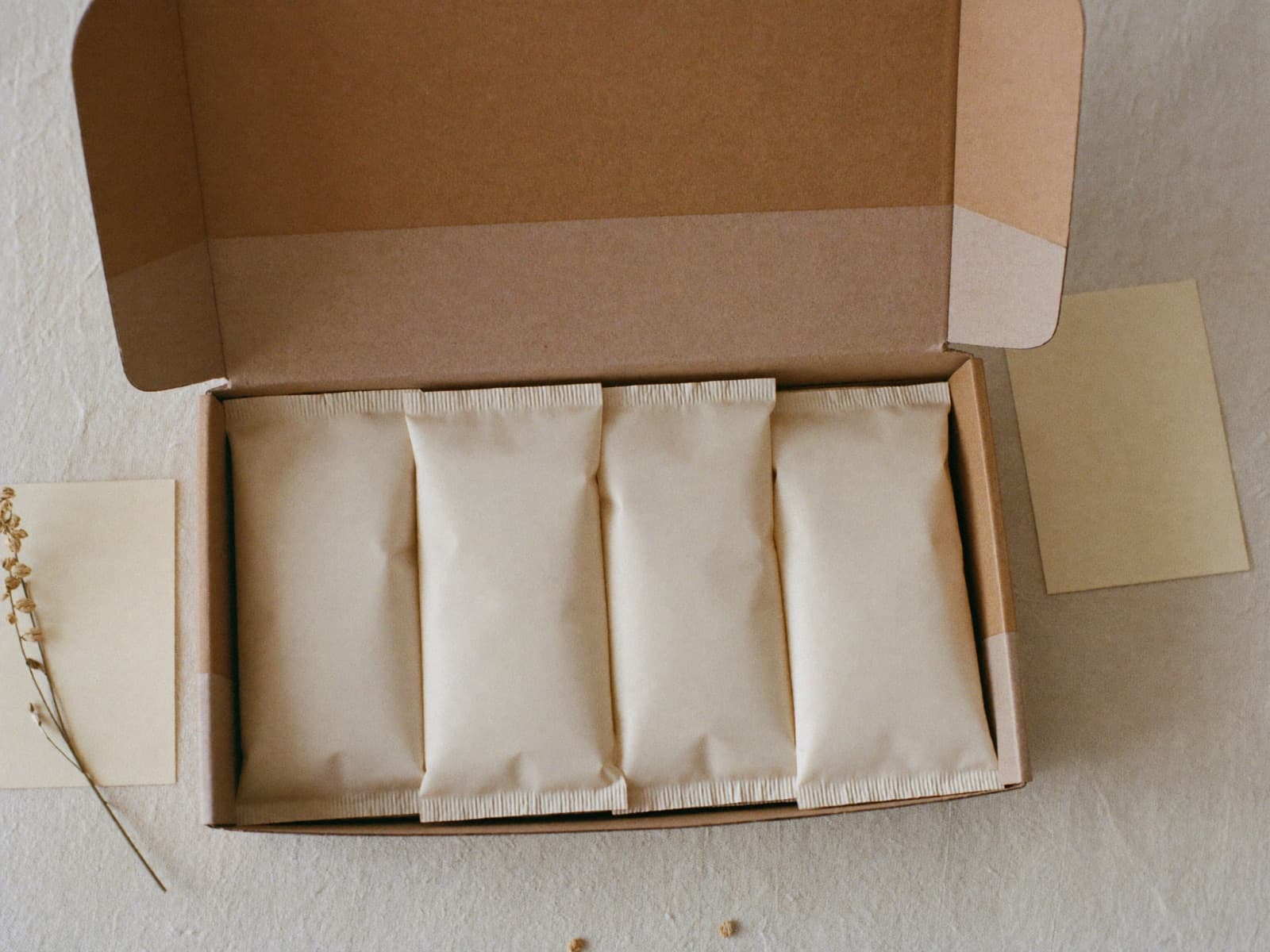 The chae box: four day-packs in a kraft mailer